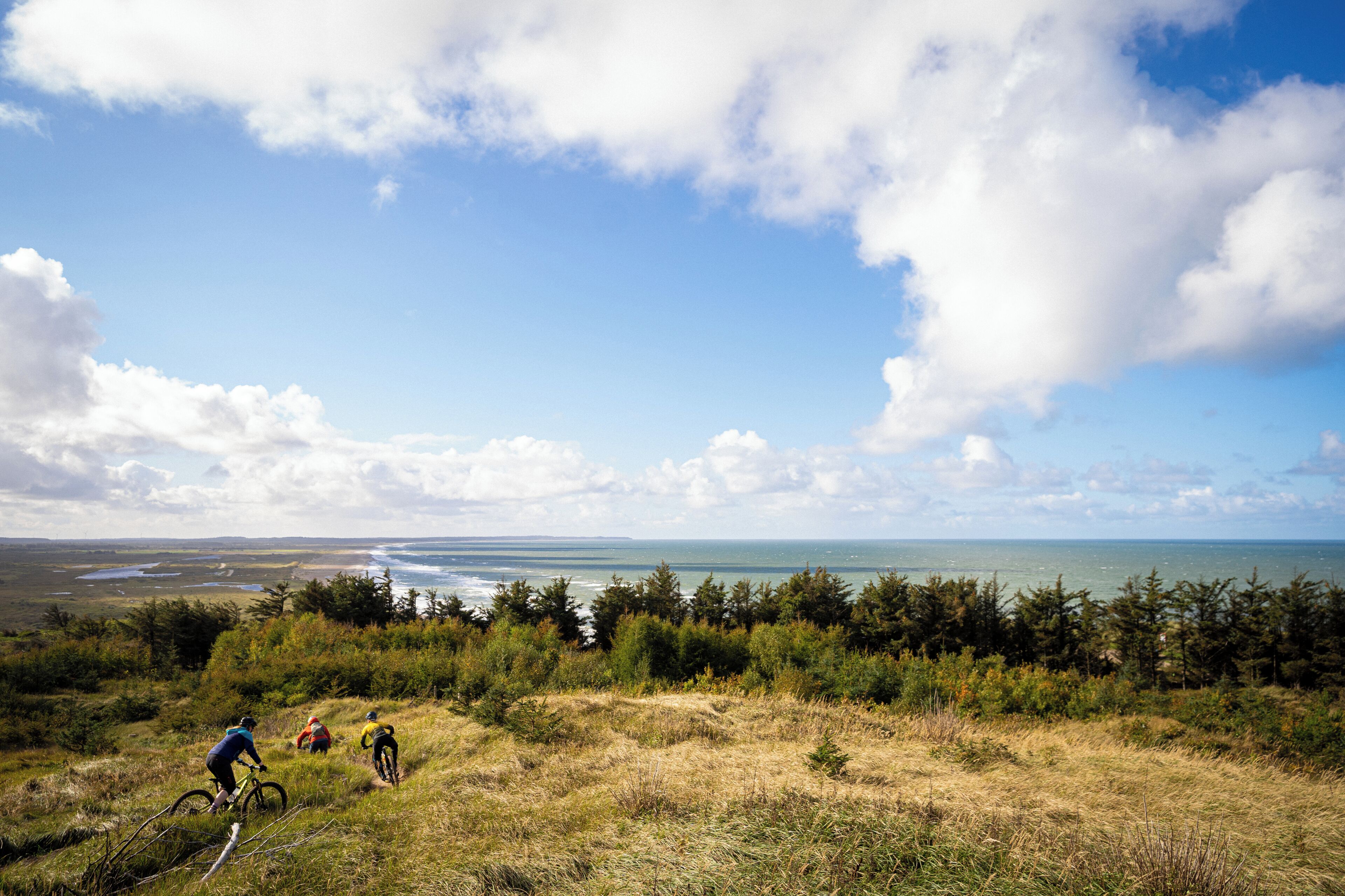 Paisaje costero con tres ciclistas en un camino de tierra, rodeado de un bosque denso y vistas al océano.