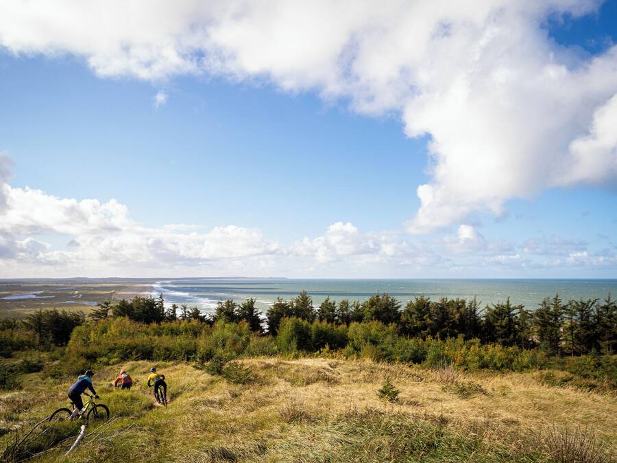 Paisaje costero con tres ciclistas en un camino de tierra, rodeado de un bosque denso y vistas al océano.