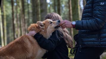 A person holding a dog in a forested area.