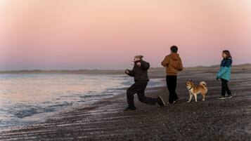 A beach scene with people and a dog.