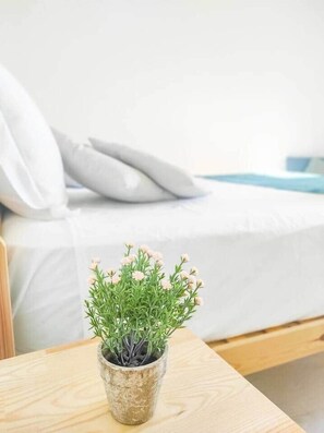 2 dormitoris, planxa i posts de planxar, wifi i roba de llit 