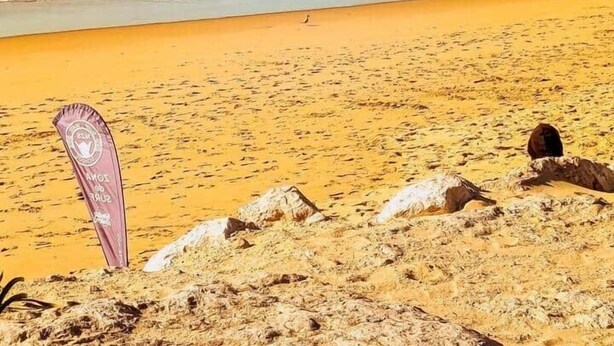 Une plage avec un rivage rocheux, des vagues et un ciel dégagé.