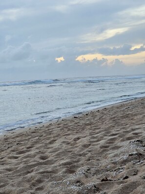 Toallas de playa 