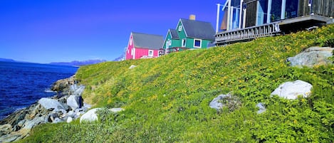 เดินป่า