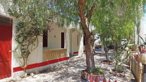 A narrow, tree-lined pathway leading to a building with a red door and a balcony. - Villa Leda in Marina di Mancaversa (Taviano)