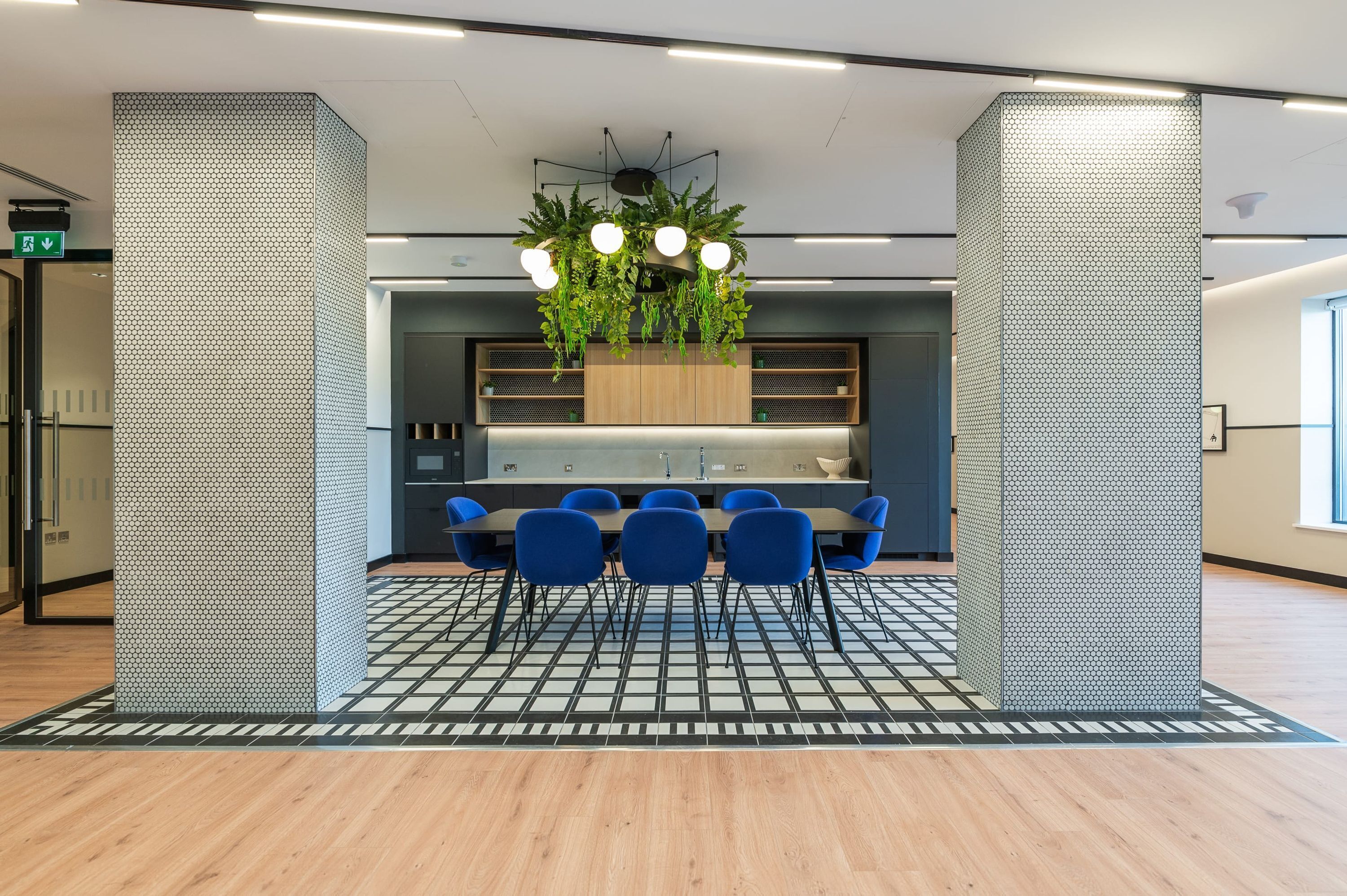 A modern conference room with a long table, blue chairs, and a hanging plant.