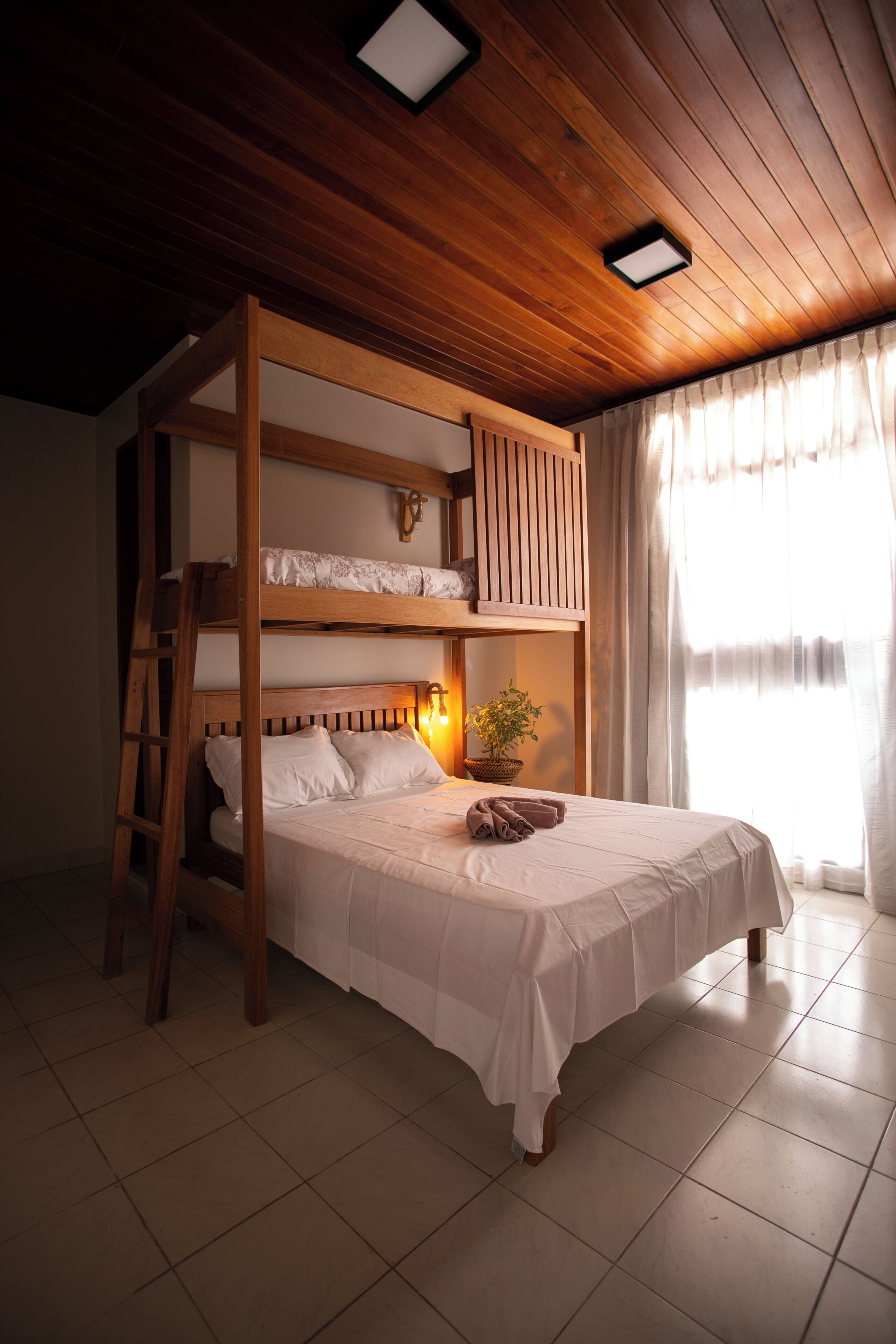 Un letto a castello con una scala in legno, una lampada da comodino e una pianta in vaso.