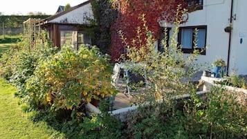 Khuôn viên nơi lưu trú