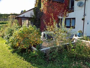 Billede uden beskrivelse, 5 af 24, knap