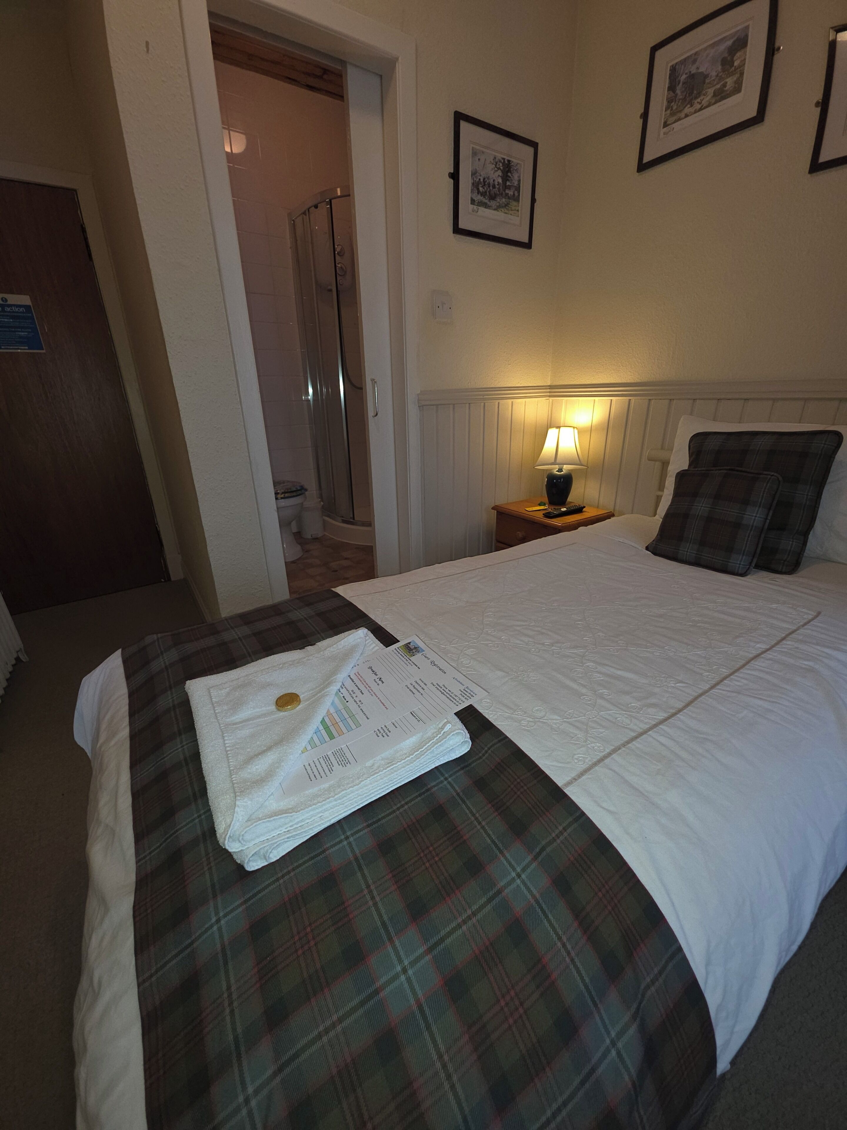 Une chambre d’hôtel avec un lit, une table de chevet avec une lampe, un tableau encadré au mur et un espace douche.