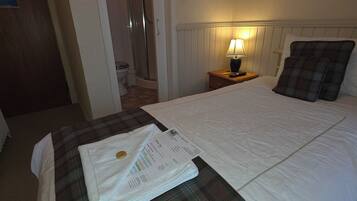 Une chambre d’hôtel avec un lit, une table de chevet avec une lampe, un tableau encadré au mur et un espace douche.