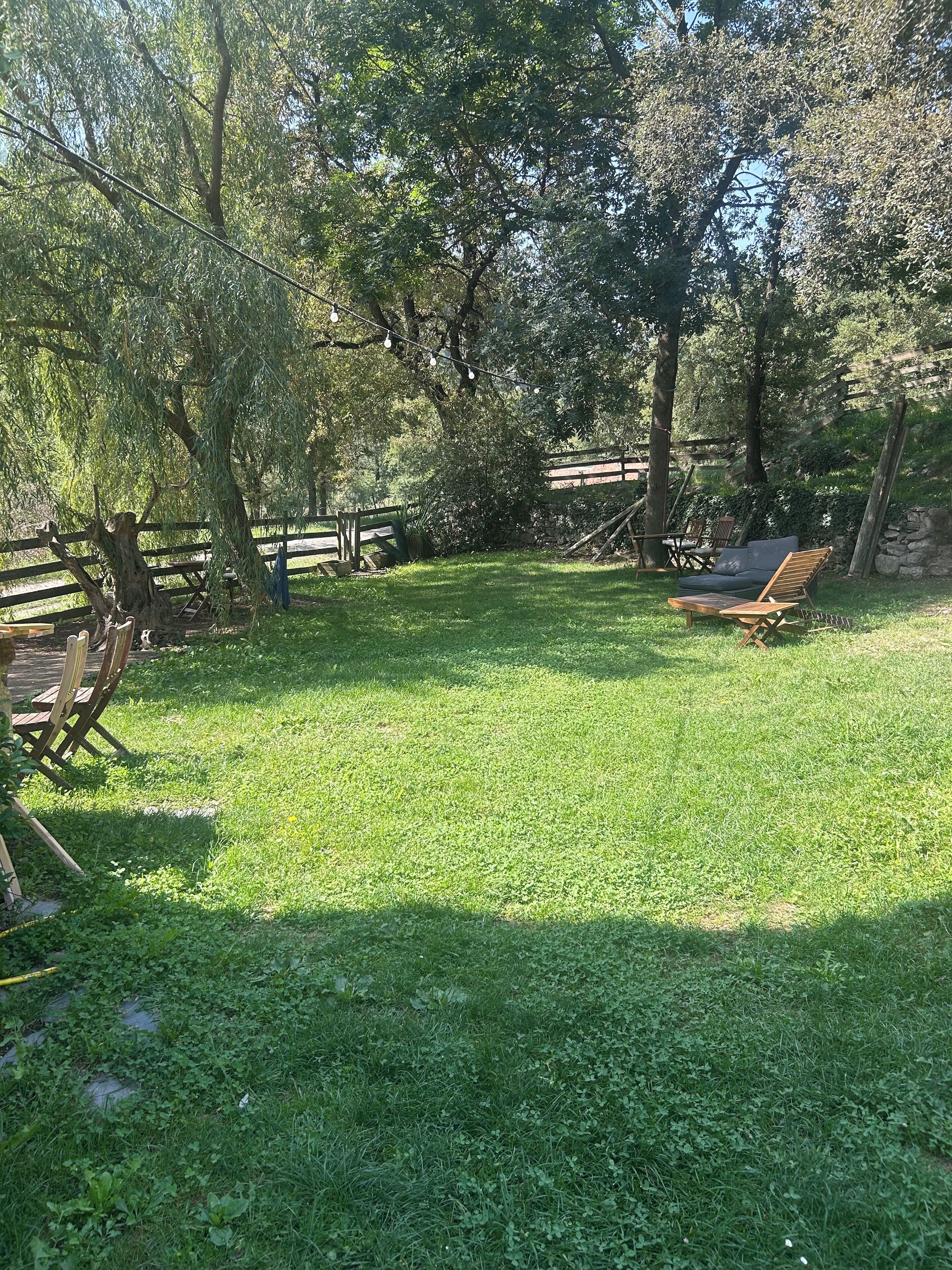 A grassy outdoor area with a wooden bench and a wooden fence.