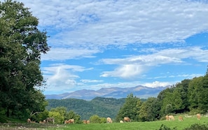 Exterior - Masia Rural Can Pei (Montagut)