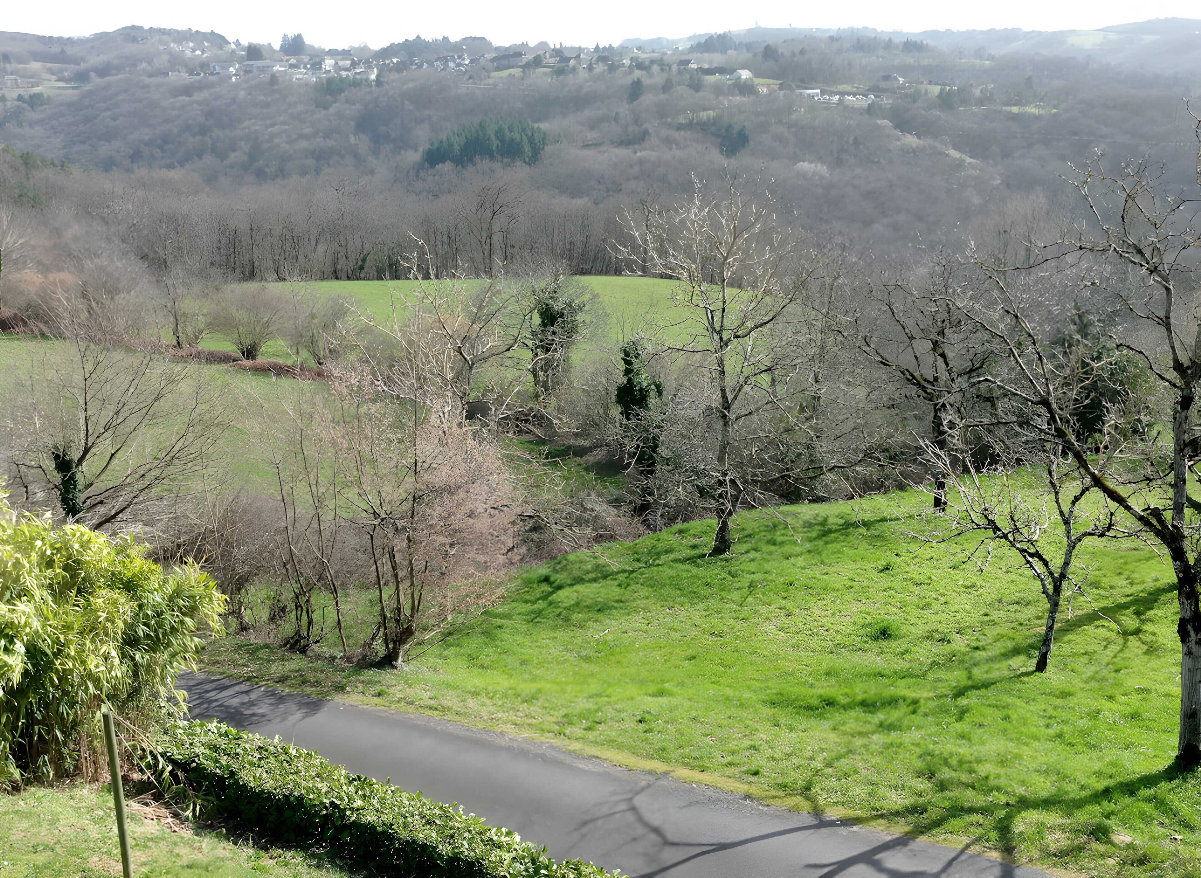 Ländliche Landschaft mit einer Straße, grünen Feldern und Bäumen.
