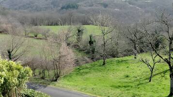 Ländliche Landschaft mit einer Straße, grünen Feldern und Bäumen.