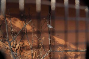 未分類的圖片，第 4 張，共 28 張，按鈕