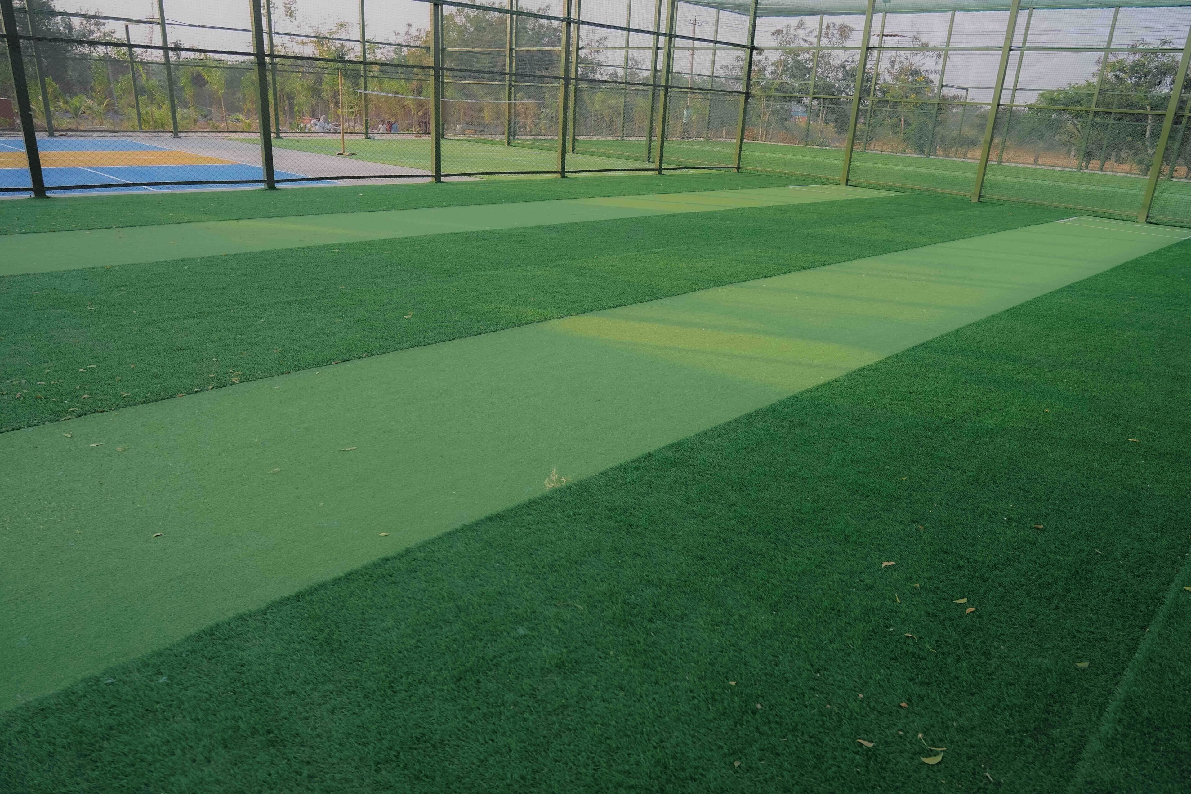 An indoor sports facility with artificial turf and a netted enclosure.