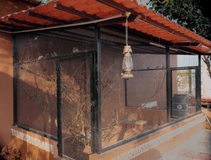 Ảnh chưa phân loại, 5 trong số 28 ảnh, nút