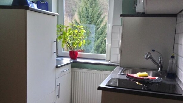A compact kitchen with white cabinets, a window with a view of trees, a sink with a faucet, and a countertop with a sponge and dish soap.