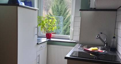 FeWo „Bodeblick“ – Familienglück mit Aussicht & Bauernhof-Charme