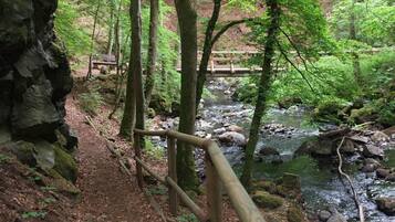 A forested area with a wooden bridge over a stream, a dirt path, and a rocky outcrop.