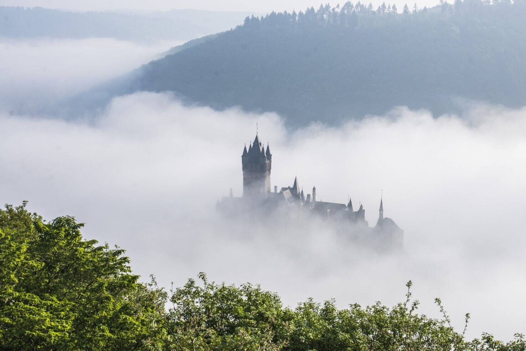 Eine Burg, umgeben von Nebel, mit einem bewaldeten Vordergrund.