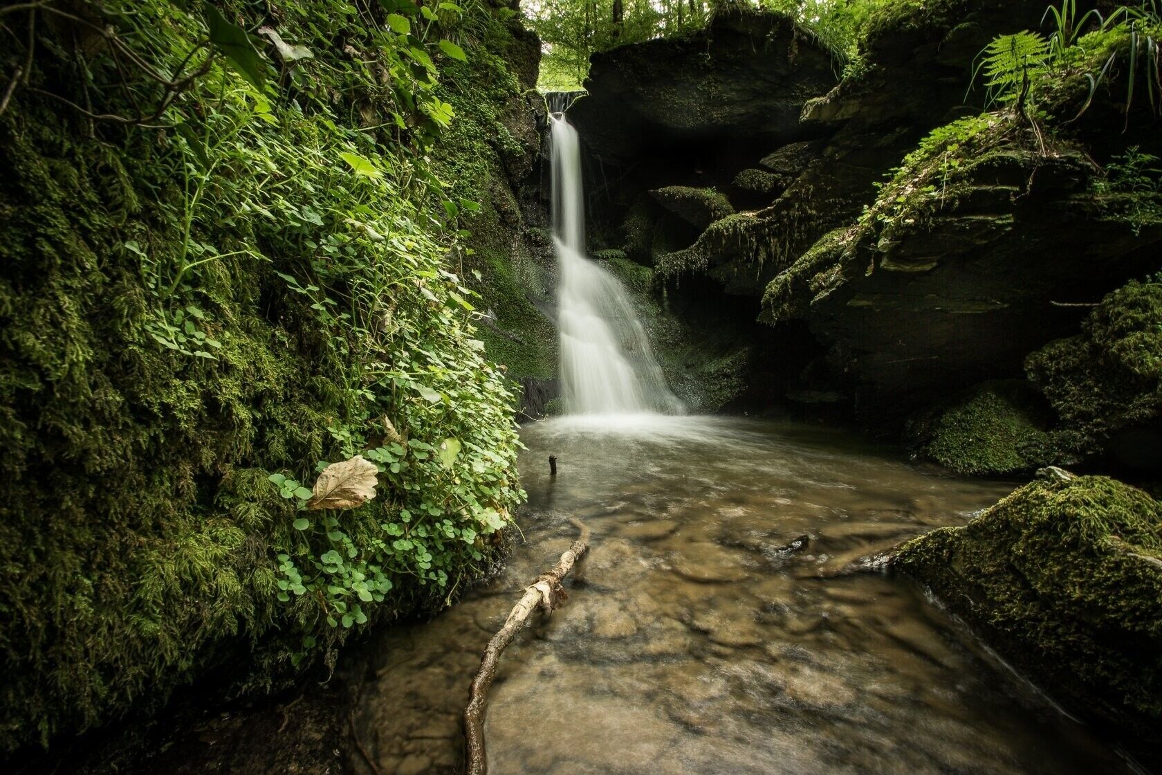 A waterfall in a forested area with moss-covered rocks and dense greenery.