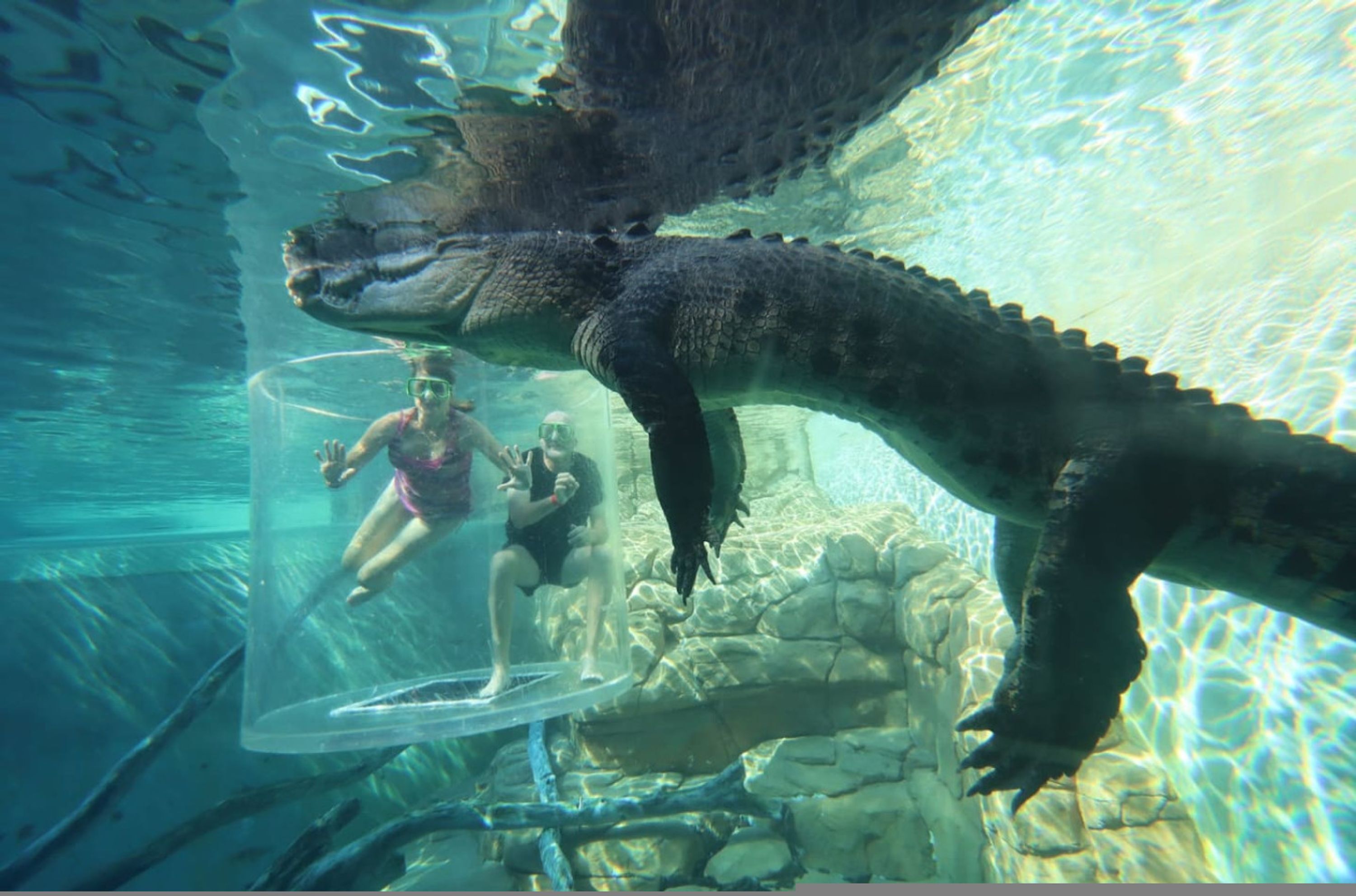 Escena submarina con un gran reptil y dos personas en un recinto transparente.
