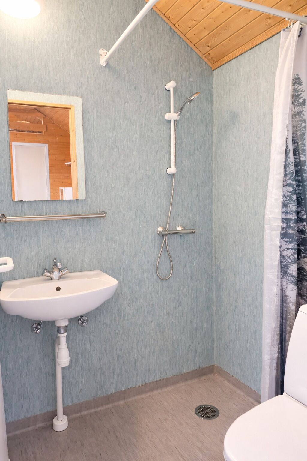 A bathroom with a sink, mirror, shower, and toilet.