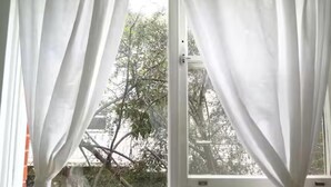 Ein Fenster mit weißen Vorhängen, Blick auf Bäume und ein Gebäude.