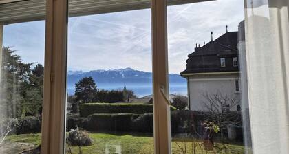 Magnificent green villa - Pully Lavaux