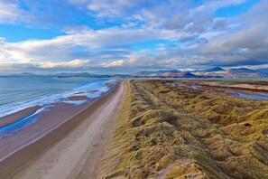 Eine Küstenlandschaft mit Sandstrand und Graslandschaft.