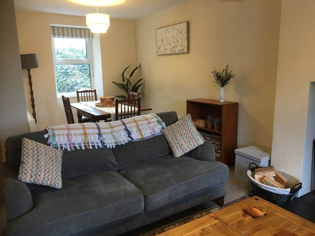 TV, fireplace, DVD player