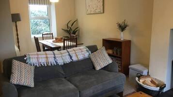 TV, fireplace, DVD player