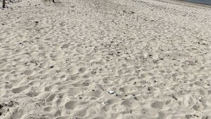 A sandy beach with a clear sky and distant horizon. - HGALTSTADTFEWO (Wismar)