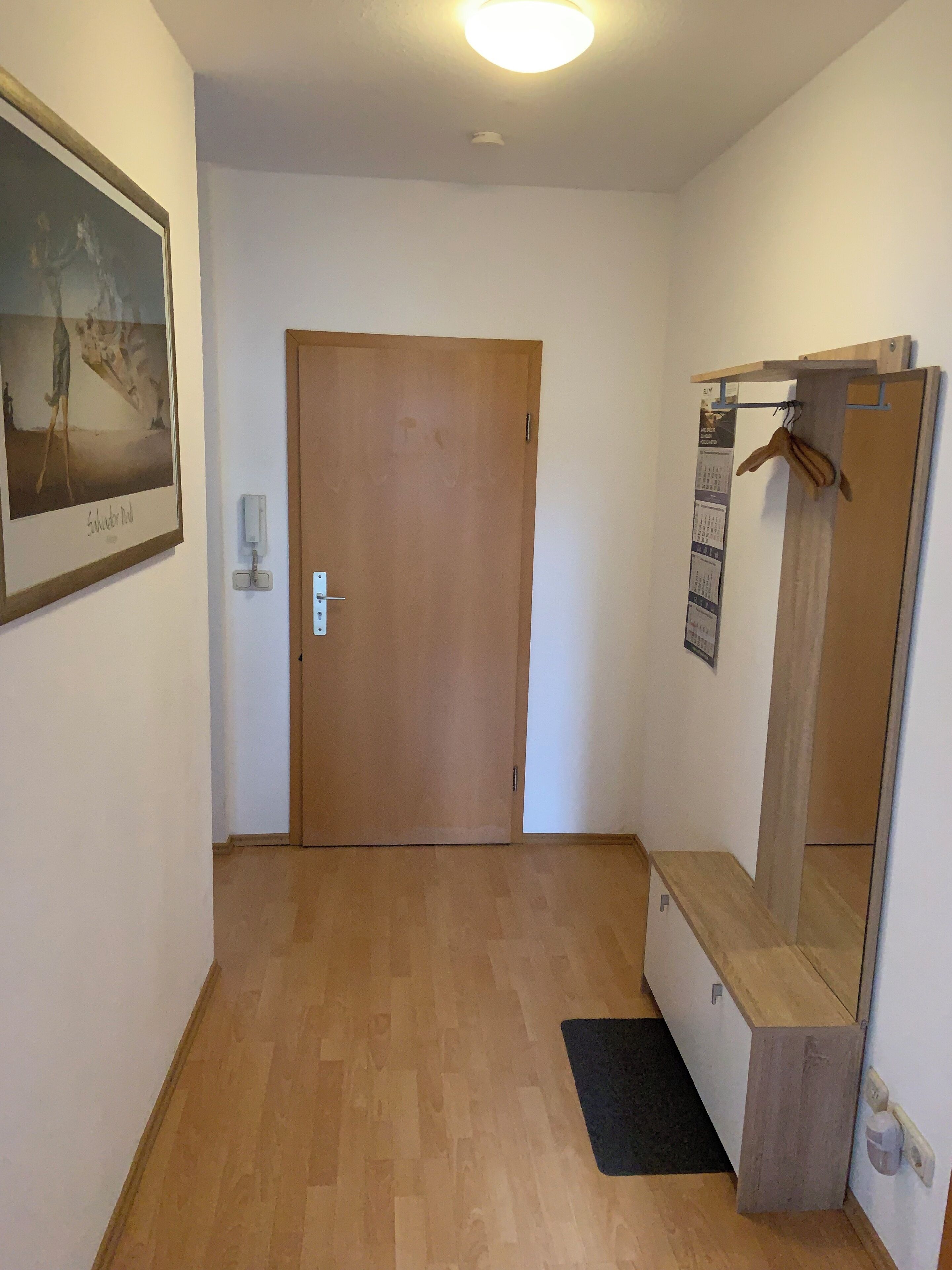 A hallway with a wooden door, a framed picture on the wall, a mirror, and a small mat on the floor.