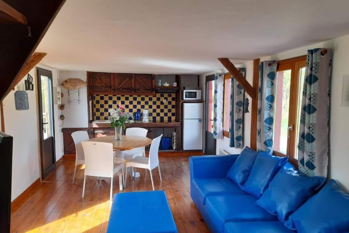Un espacio habitable compacto con zona de comedor, kitchenette y un sofá azul.