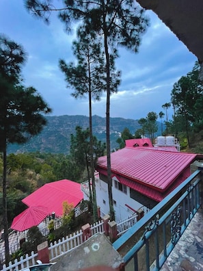 Uklassifisert bilde, 5 av 38, knapp