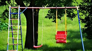 A playground with a swing set, a ladder, and a red swing. - Himmelsbach Apartment with Terrace and Wi-Fi (Gengenbach)