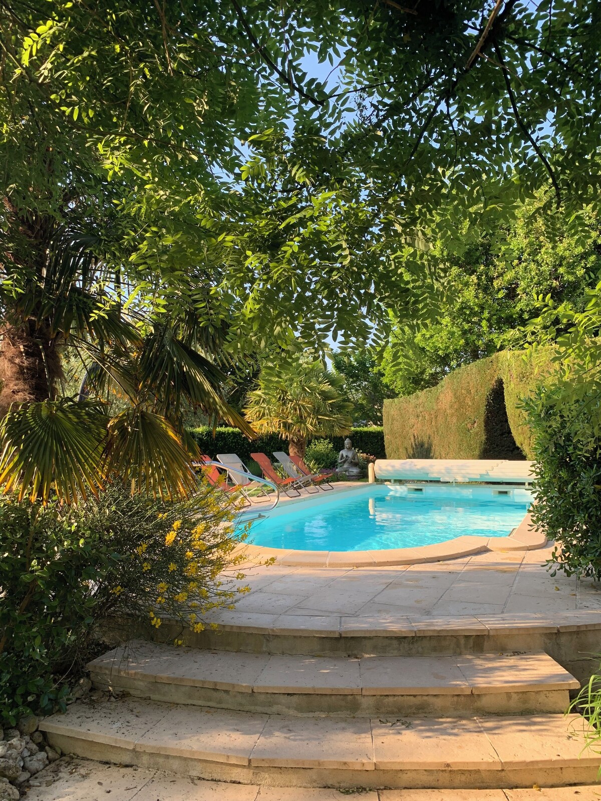 Image de profil de l’hôte