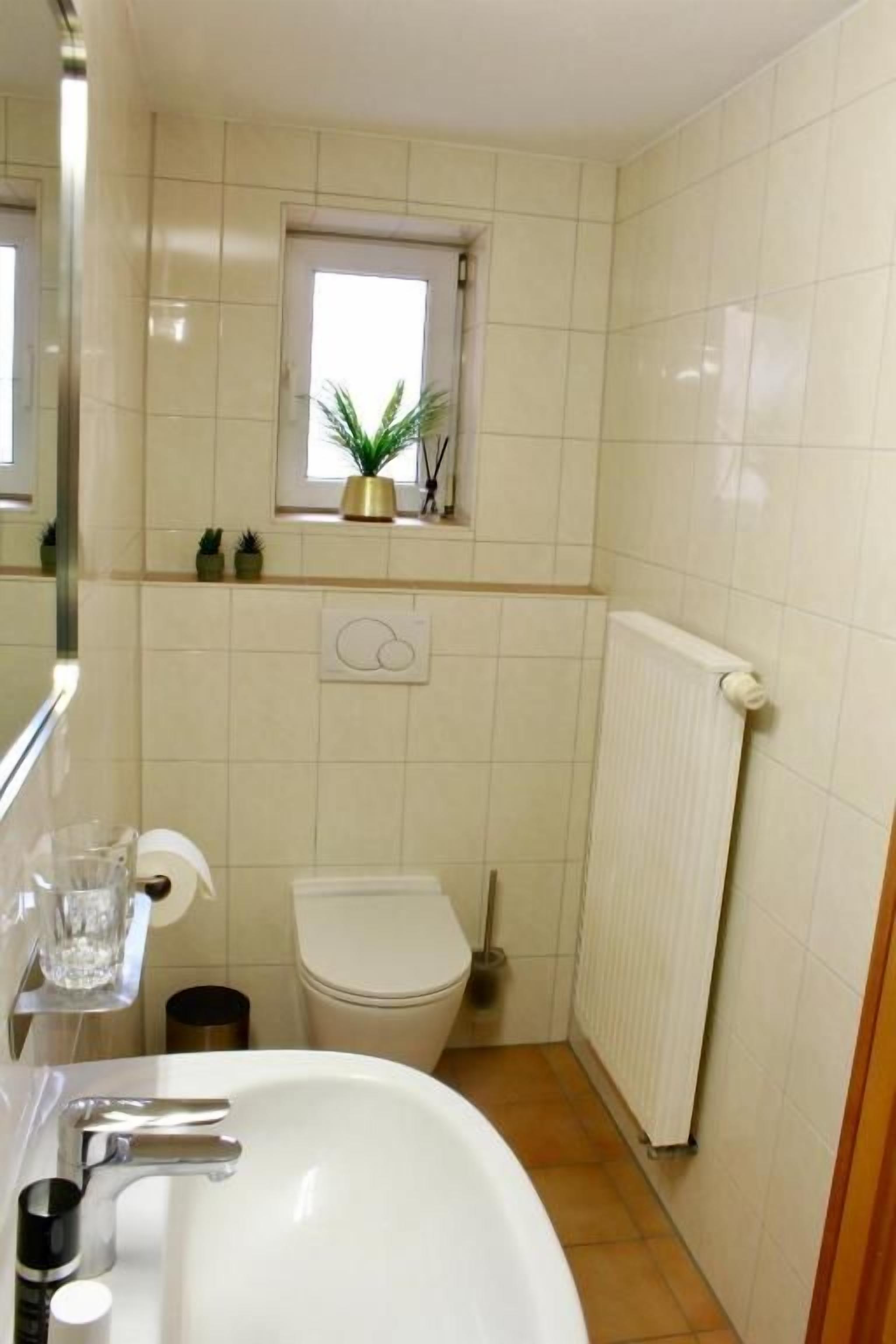 Une salle de bain avec un lavabo blanc, des toilettes et une fenêtre agrémentée d’une plante.