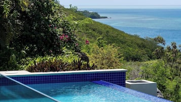 House, 3 Bedrooms, Accessible, Smoking | Pool