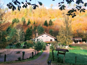 Een huis met een rood dak, omgeven door een bos met herfstkleuren.
