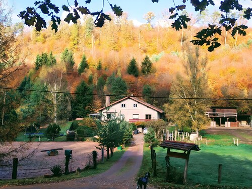 Equestrian Retreat in the Forest with Donkeys – Domaine L'échappée Verte