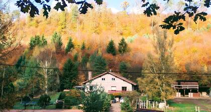 Equestrian Retreat in the Forest with Donkeys – Domaine L'échappée Verte