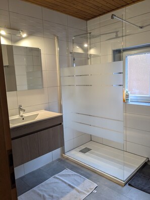 Shower, hair dryer, towels