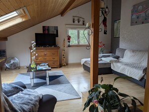 Una televisión, un reproductor de DVD