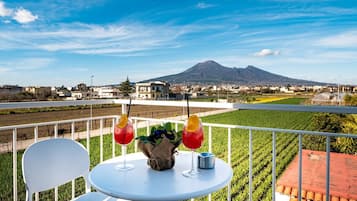 Double Room, 1 Queen Bed, Private Bathroom, Mountain View