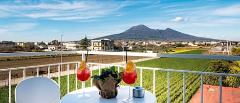 Double Room, 1 Queen Bed, Private Bathroom, Mountain View | Terrace/patio
