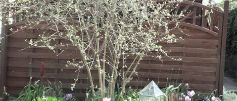 Terrain de lâhĂ©bergement